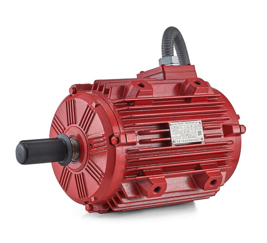 WXF3/WXF4/WXF5Series of high-temperature fire-fighting motors Brand: Wolong, GE (General Electric)