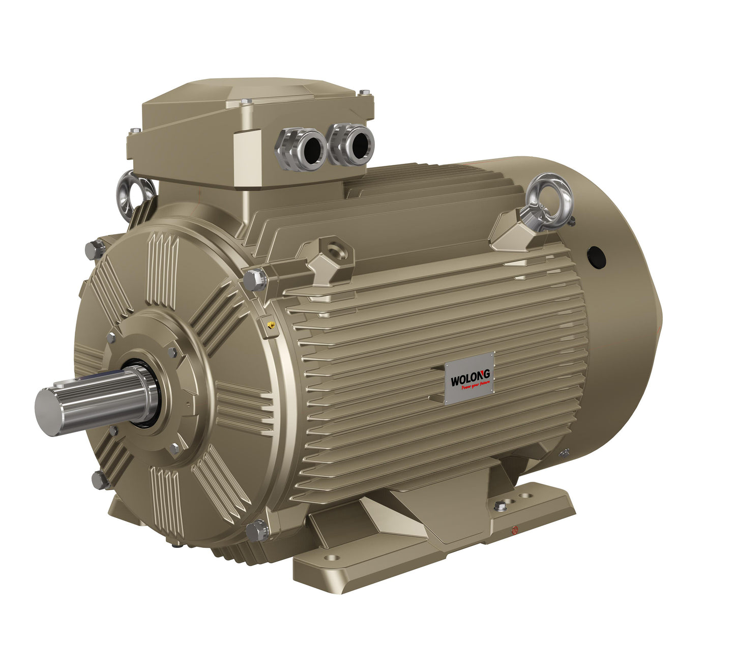 WEPMFrequency variable speed permanent magnet synchronous motor Brand: Wolong, Nanyang explosion-proof